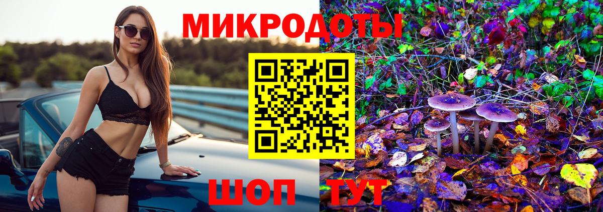 Галлюциногенные грибы MAGIC MUSHROOMS  Вход с VPN  Валуйки 