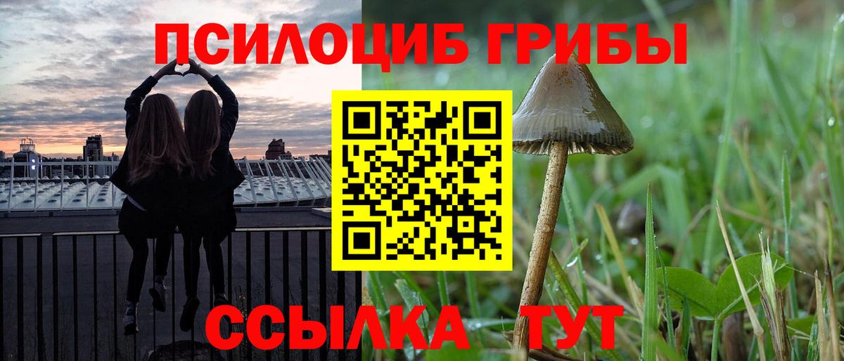 Галлюциногенные грибы Psilocybe Валуйки